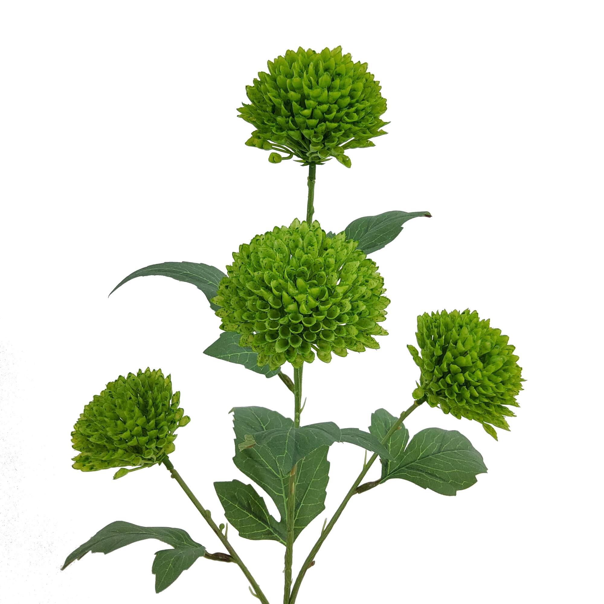 28.5" Green Pom Pom Mum Stem by Ashland®